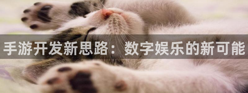 极悦娱乐开奖结果：手游开发新思路：数字娱乐的新可能
