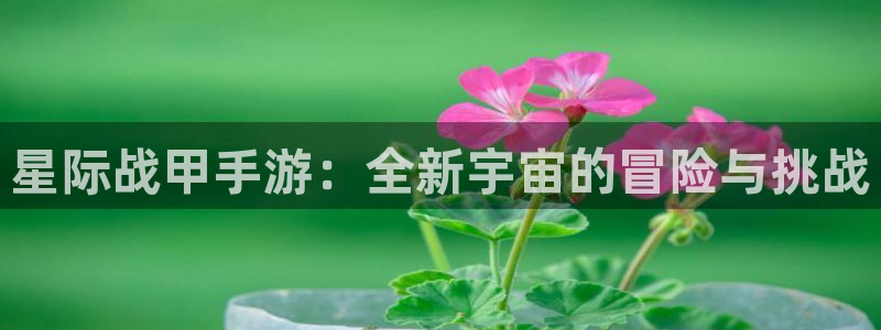 极悦娱乐分分预测：星际战甲手游：全新宇宙的冒险与挑战