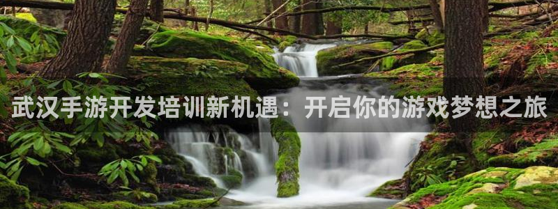 极悦娱乐2018版：武汉手游开发培训新机遇：开启你的游戏梦想