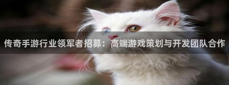 极悦娱乐加拿大在线预测：传奇手游行业领军者招募：高端游戏策划