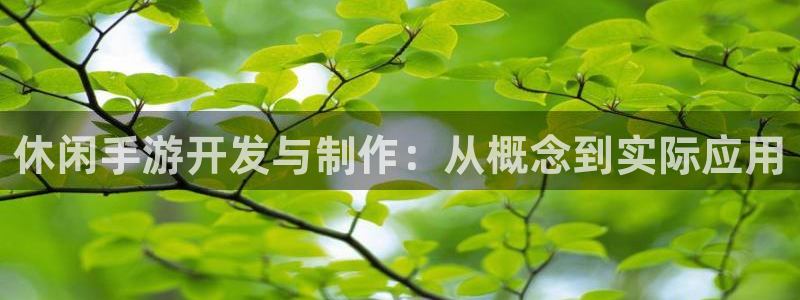 极悦娱乐统计网：休闲手游开发与制作：从概念到实际应用