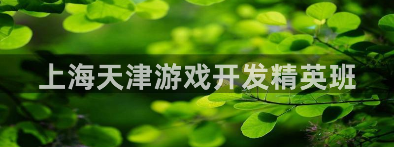 极悦娱乐预测群号码：上海天津游戏开发精英班