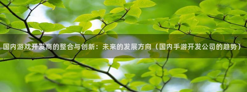 极悦娱乐预测官网：国内游戏开发商的整合与创新：未来的发展方向