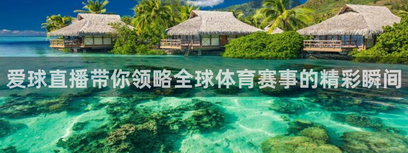 劲爆体育免费直播nba新的好游戏.认证网.org：爱球直播带你领略全球体育赛事的精彩瞬间