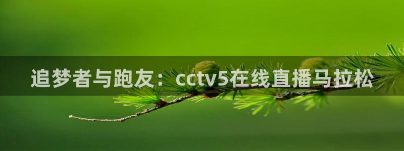劲爆体育nba直播在线观看：追梦者与跑友：cctv5在线直播马拉松