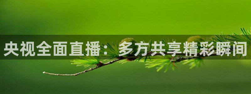 劲爆体育直播单：央视全面直播：多方共享精彩瞬间